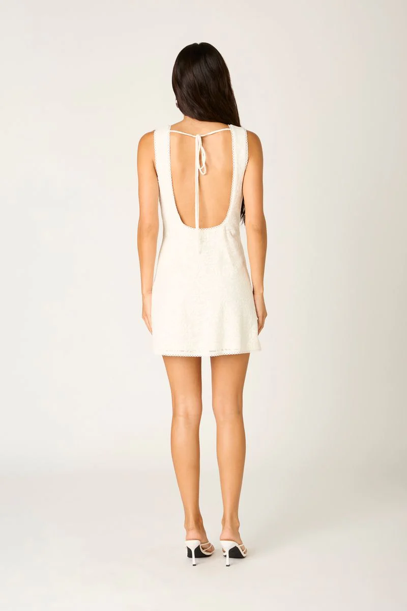 Sleeveless Lace Mini Dress - Image 3