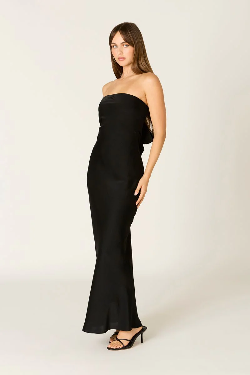 Tie-back Strapless Maxi Dress - Image 3