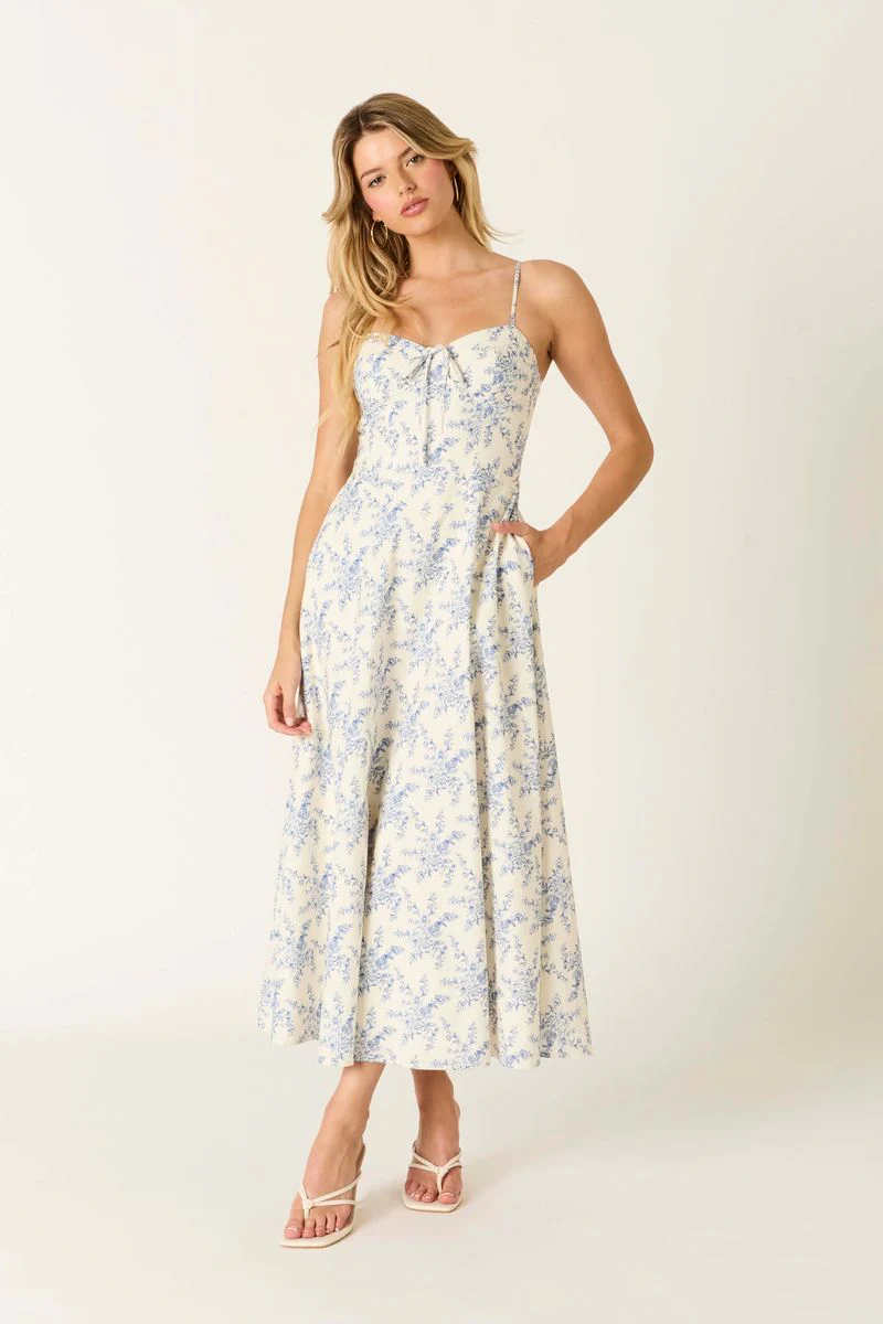 Vintage Toile Midi Dress