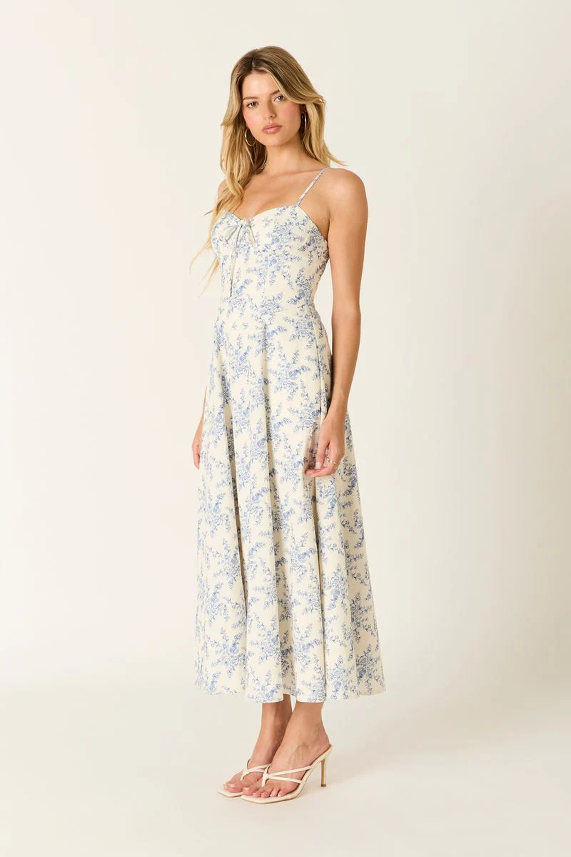 Vintage Toile Midi Dress - Image 3